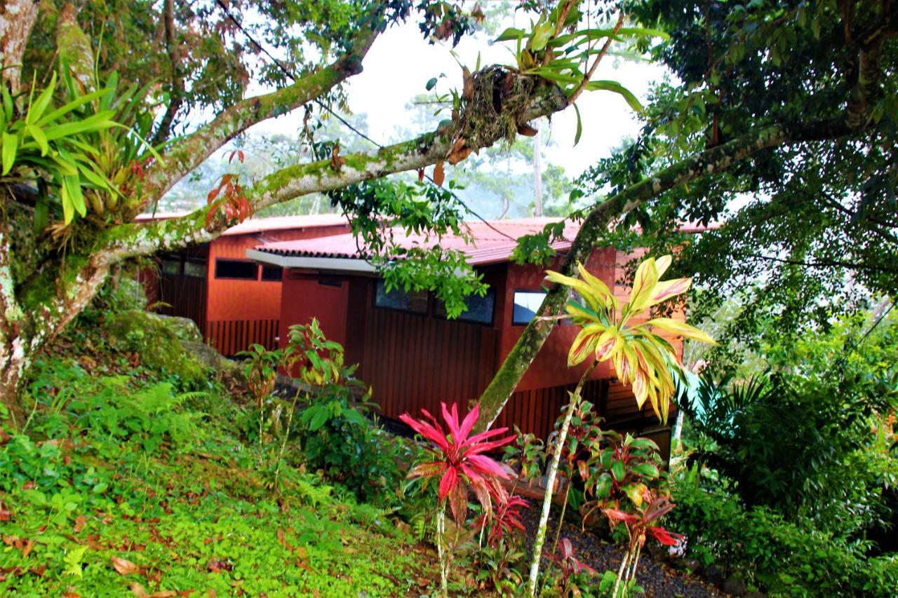 Casitas Eco Bambu Villa การ์ตาโก ภายนอก รูปภาพ