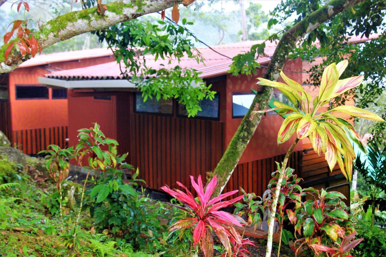 Casitas Eco Bambu Villa การ์ตาโก ภายนอก รูปภาพ