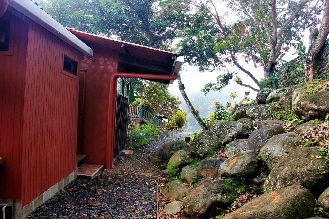 Casitas Eco Bambu Villa การ์ตาโก ภายนอก รูปภาพ
